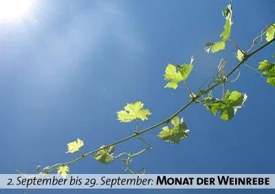 der Monat September